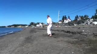 Shinburyu Chitoryu karatedo Rohaisho no bo by Jean Noel Blanchette 7 Dan [upl. by Angelica]