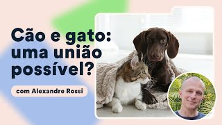 Como socializar gatos com cães Alexandre Rossi explica  Petz TV Comportamento [upl. by Ardnuahsal895]