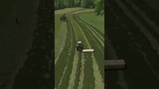 mähen 42 ls22 fs22 timelapse landwirtschaft landwirtschaftssimulator22 farming oberschwaben [upl. by Alleon451]