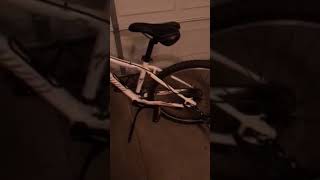 Instep Take 2 Double Bicycle Trailer Review [upl. by Knutson920]