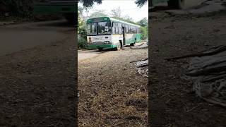 NELLORE  PODALAKURU  PARLAKONDA PALLEVELUGU apsrtc chittoor nellore kurnool tirupati [upl. by Massab]