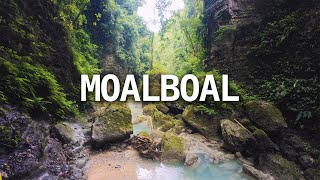 Moalboal My favorite place in the Philippines [upl. by Garnett]