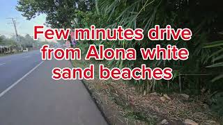 1710 sqm highway lot for sale at Panglao Island Bohol Philippines 15ksqm negotiable [upl. by Nidorf248]