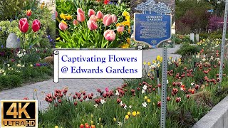 Captivating Flowers at Edwards Gardens in Toronto  4K [upl. by Dagny]