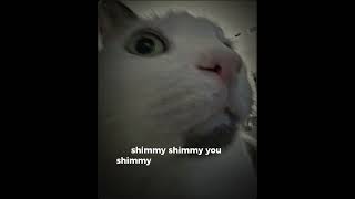 shimmy shimmy ya [upl. by Anirt]