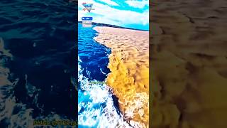 Unmixed water of tow sea amazing Its natural shorts ytviral dmadentertainment sea [upl. by Beichner]