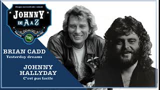 Johnny Hallyday amp Brian Cadd  Cest pas facile  Yesterday dreams duo virtuel [upl. by Claud]