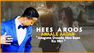 CAWAALE AADAN HEES AROOS HUBQAAD  4k lyrics [upl. by Shanta764]