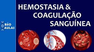 HEMOSTASIA SECUNDARIA TEORIA ANTERIOR DE LA COAGULACIÓN CASCADAS FISIOLOGÍA SanguineaP3 [upl. by Oiliduab]