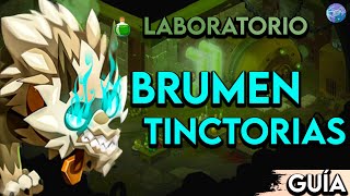 GUÍA  COMO ENTRAR AL LABORATORIO DE BRUMEN TINCTORIAS Dofus 2 Cap 32 [upl. by Chassin]