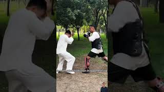 Bajiquan Actual Combat Action kungfu martialarts [upl. by Aissirac]