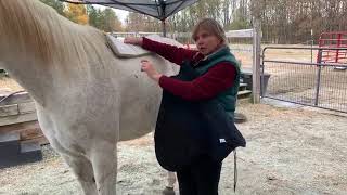 Fitting Your Horses Back amp Withers with Pads or Panels  Freeform Treeless Saddles [upl. by Neelon]