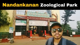 Nandankanan Zoological Park Bhubaneswar  Odisha [upl. by Ecienaj]