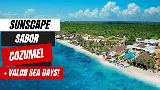 Carnival Valor Cruise Vlog 2024 Cozumel and Days at Sea [upl. by Spieler]