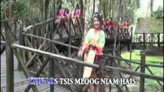 THE BEST OF LAO HMONG SONG  tsis coj li hmoob txoj cai [upl. by Armalda826]