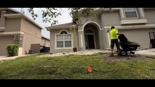 Sod installation process Orlandosodinstallcom [upl. by Annahvas]