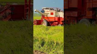 60 Lakh Laatacombine combineharvester harvester shorts shortvideo tractor video youtube [upl. by Maighdlin623]