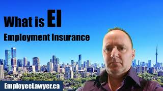 What is EI  Employment Insurance [upl. by Ronalda]