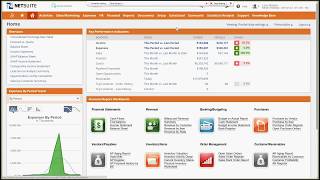 NetSuite OneWorld Overview [upl. by Enyamert218]