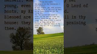 Bible Verse for the Day  Psalm 8414 Stay blessed subscribe for more [upl. by Clareta625]