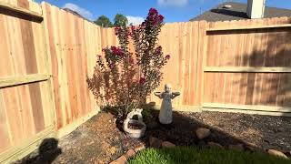 Cedar Wood Privacy Fence with Rot Board 20240919 [upl. by Shaw636]