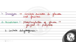 Match ListI with ListII ListI Enzyme ListII Process involved in A Invertase I Con [upl. by Chinua]