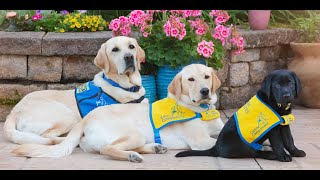 August Team Training Graduation Northeast Region  August 9 2024 Canine Companions [upl. by Llerrehc]