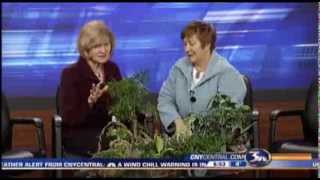 DISH GARDENING WITH CAROL WATSON [upl. by Debbra786]