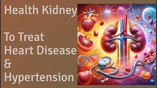 Health Kidney to Treat Heart Disease amp Hypertension [upl. by Ardnuhsor846]