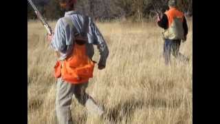 Pheasant and Upland Bird Hunting in Colorado [upl. by Publias]