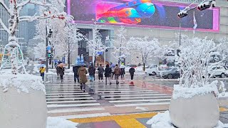 Snowy GWANGHWAMUN Nov 27 2024 The First Heavy Snowfall in Seoul 4K Seoul Korea Walk [upl. by Nwahsat510]