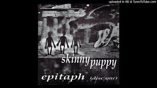 Skinny Puppy  Deadlines 400 Blows Remix [upl. by Tterag91]