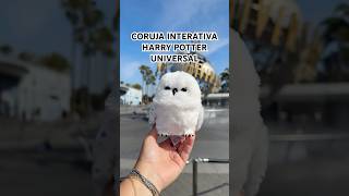 Coruja interativa de Harry Potter comprasemorlando edwiges harrypotter owl universal [upl. by Betsy]