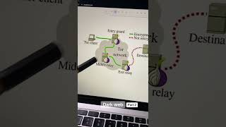 Tor Browser Dark Web Explained cybersecurity torbrowser [upl. by Ahtiekal]