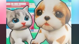 cuidamos do gatinho no roblox pet party [upl. by Anohr]