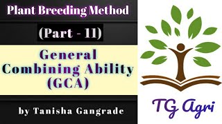 General Combining Ability  GCA  Recurrent selection for General Combining Ability by Tanisha [upl. by Queridas]