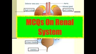 Questions for RRBAIIMSMCQs on Renal System [upl. by Unam]