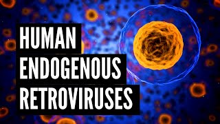 Human Endogenous Retroviruses HERVs [upl. by Eiuqcaj]