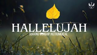 Hallelujah  Soaking Worship Instrumental  Prayer and Devotional [upl. by Relyat138]