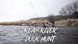 Beau Hunting  Freezing Cold River Duck Hunt quotThousands Of Mallardsquot [upl. by Nortyad471]