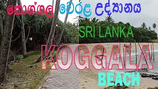 කොග්ගල වෙරළ උද්‍යානය  Koggala Beach Sri Lanka [upl. by Renny84]