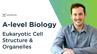 The Whole of AQA ALevel Biology Topic 2  Cells [upl. by Narol]