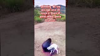 अभिमान्यू की एक बातanimal motivation sorts [upl. by Enylecoj]