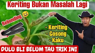 REBONDING KERITING DAUN SAMPAI LURUS 👍 [upl. by Enohpets]