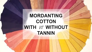 Mordanting Cotton With vs Without Tannin [upl. by Cirle]