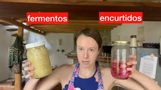 Encurtidos vs Fermentos  la guía completa [upl. by Maryanna]