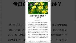 花花言葉お花のある生活＃「今日の花と花言葉は？１分で簡単解説 １１月７日」 [upl. by Wilow]