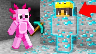 I Pranked My Friend With a SHAPESHIFT Mod in Minecraft [upl. by Fortunna215]