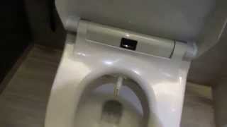 Amazing luxury in hotel room  TOTO toilet amp washlet [upl. by Ob626]