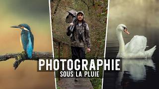 Photographie animalière sous la pluie [upl. by Eittod948]